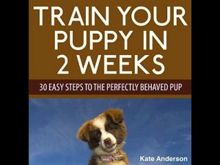 ACX Audiobook Narrator Pam Rossi TRAIN YOUR PUPPY IN 2 WEEKS