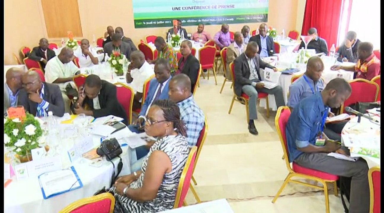 Le 20 heures de RTI 1 du 02 juillet 2015 avec Ali Diarrassouba