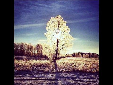 Kendrick Lamar Ft J Cole Type Beat The Burning Bush prod by Full Affect