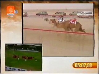 أعمار ملك هجن العاصفه سيف سمو الأمير 30 4 2008