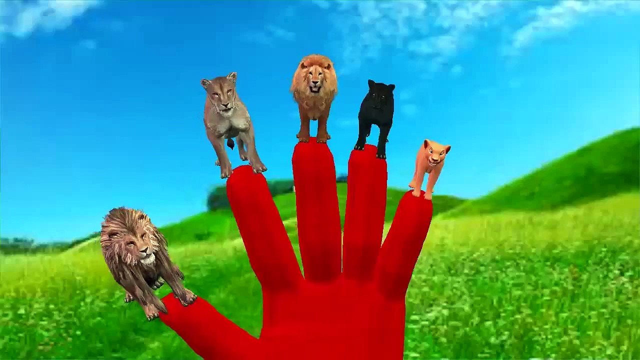 Lion Finger Family | Animal Finger Family Songs & Nursery Rhymes For Children from Monster Kids
