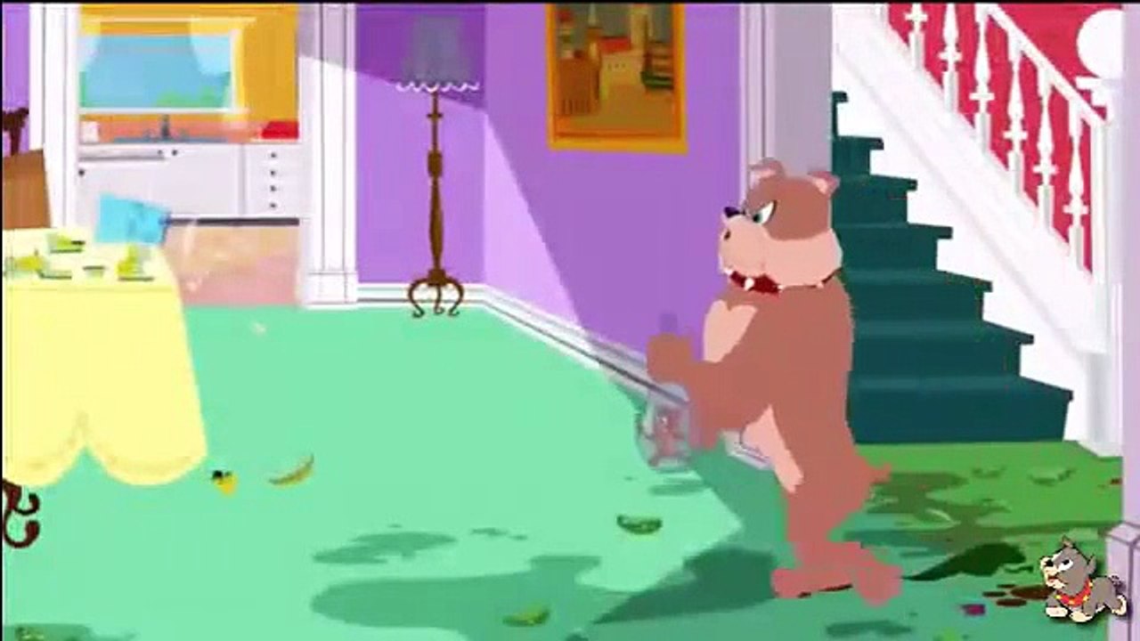 том и джерри новые серии 2015  Том и джерри Новые серии funny videos