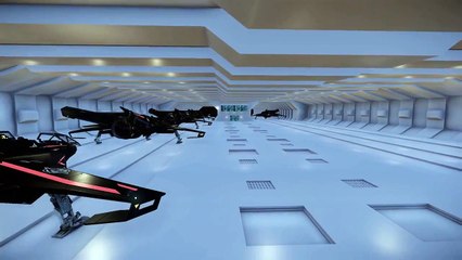 Star Citizen Panther/Pegasus hangar preview
