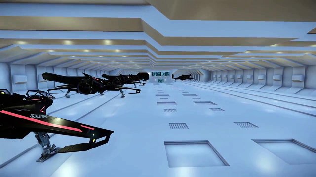 Star Citizen Panther/Pegasus hangar preview