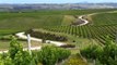 Marlborough Wine Region, New Zealand - An Overview