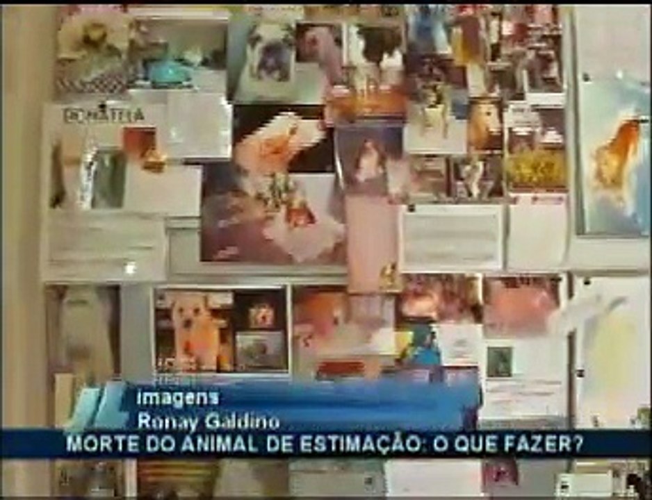 Enterro animais