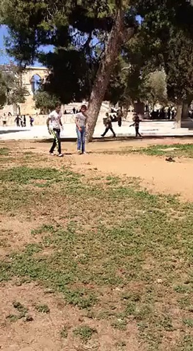اللاعبون يمارسون الباركورفي ساحات القصه