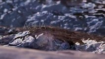 ÁGUA  É VIDA -  A Paisagem de Retenção Aquática de Tamera [HD] (Trailer)
