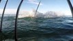 Best Shark Attack Video - Gigantic Great White Shark in South Africa while Cage Diving