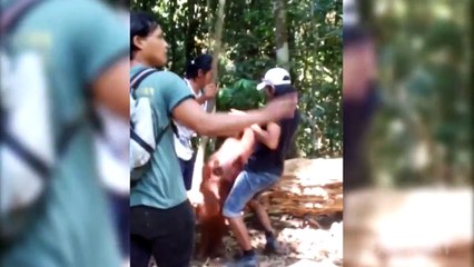 When Animals Attack Compilation Part 2 by FailArmy(1)