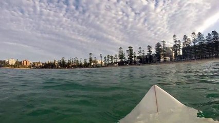 Great White Shark Circles Around Surfer