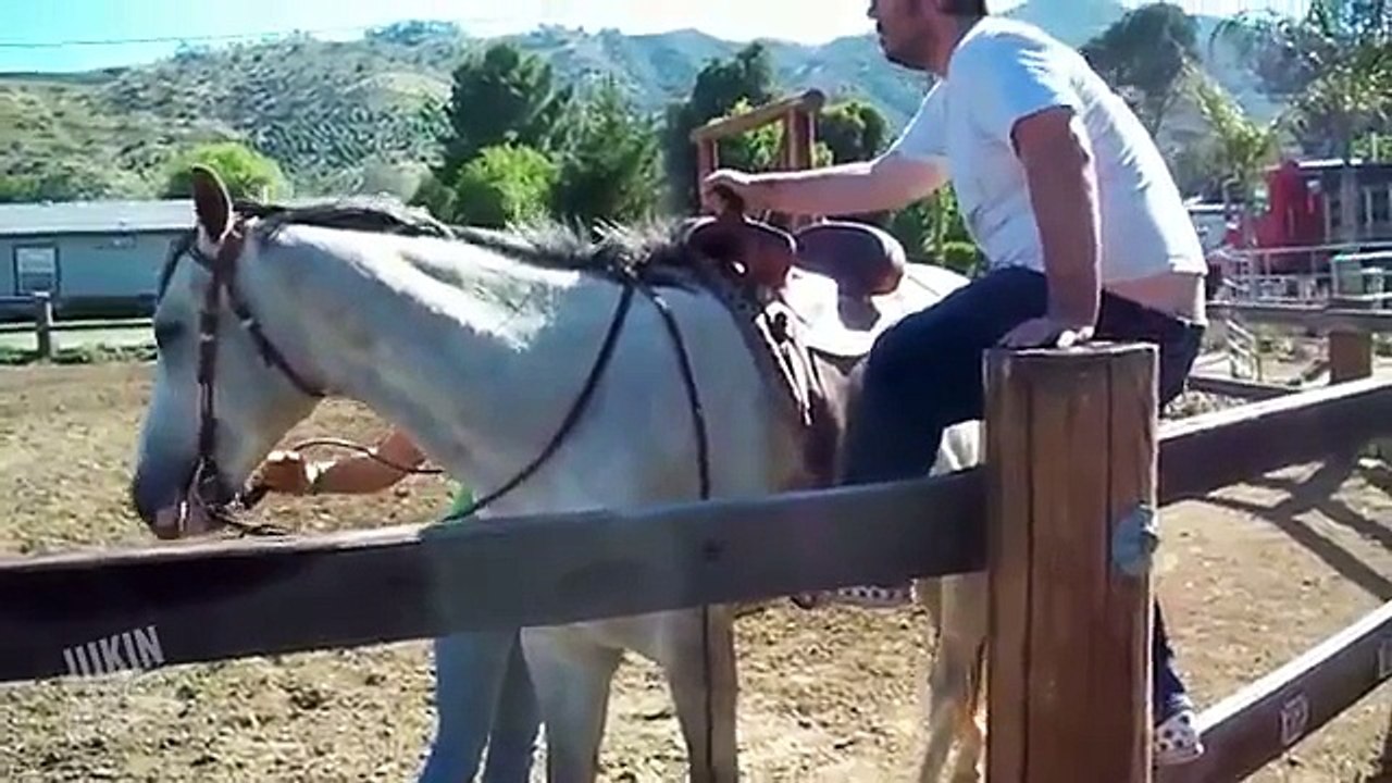 Funny Animal Encounters from the JukinVideo Vault