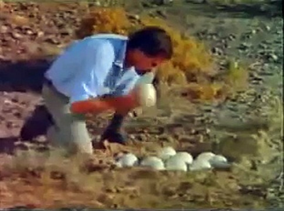 Los Dioses deben estar locos 2