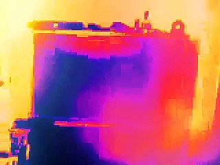 PBS Kids 2000 in ZooPals Effect V1 Squared