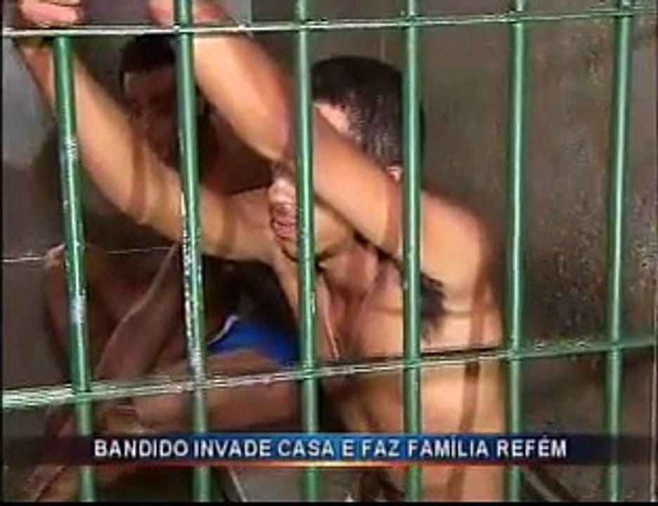 Samambaia