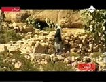 سرقة الآثار و تهريبها في الوطن العربي - 4