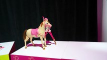 Barbie Saddle ‘N Ride Horse & Doll Hands-on