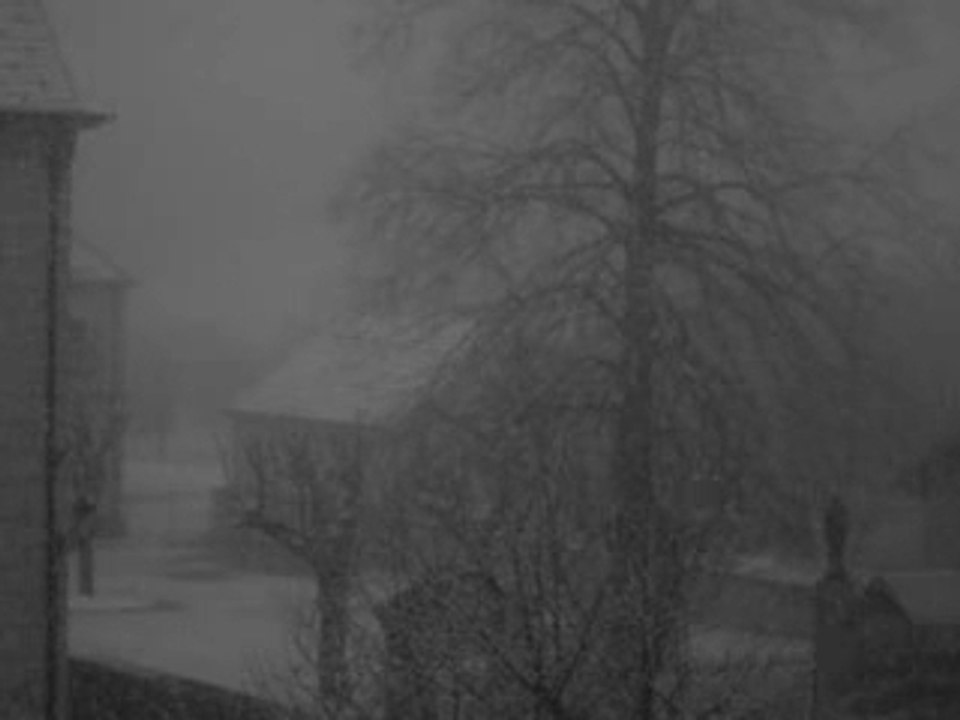 Neige