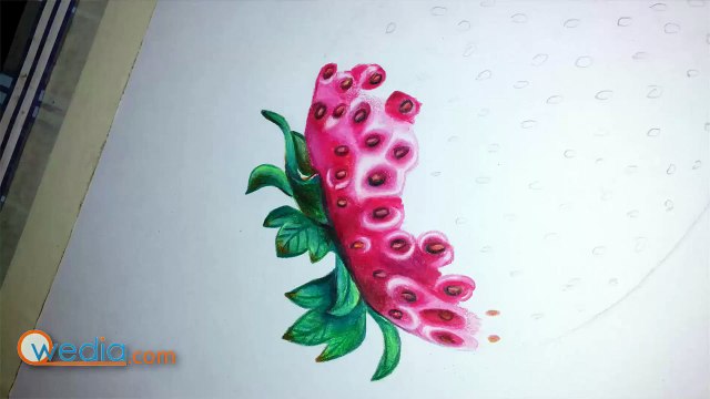 Draw Strawbery Color Pencil Shreya Kalra 0094-0127-1
