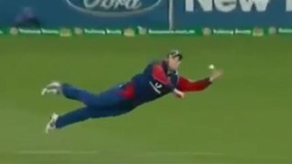 The Best catches in cricket history of all time!!