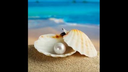 In My Rosary - Pearl In A Shell