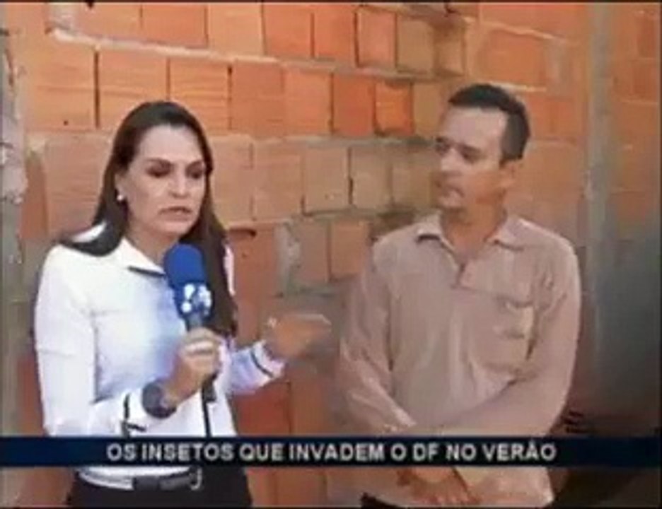 Insetos em casa