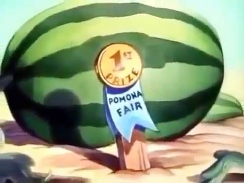 Donald's Garden, Chip & Dale and Donald Duck Cartoons