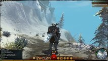 Guild Wars 2 level 36 Norn Warrior Gear and Gameplay