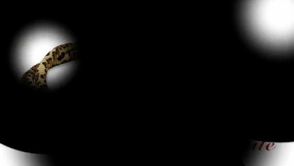 Hookah Tobacco Manufacturers