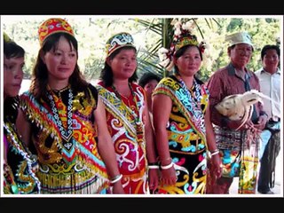 Jenis-jenis Suku Dayak Borneo