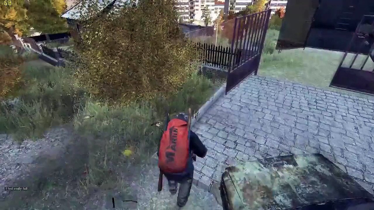 DayZ cheater shooting through walls :/