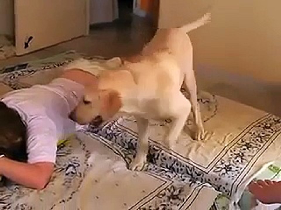 Dog humping girl!