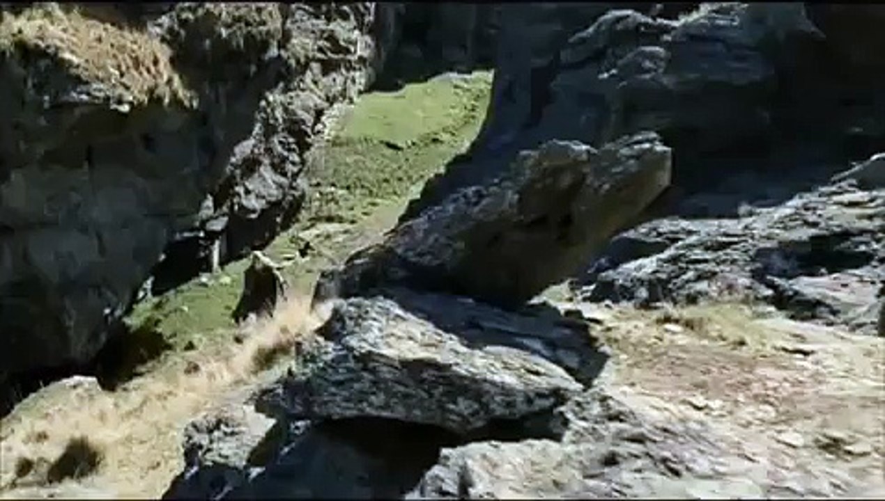 Aragorn Legolas & Gimli