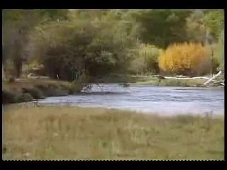 Mountain Meadows Massacre