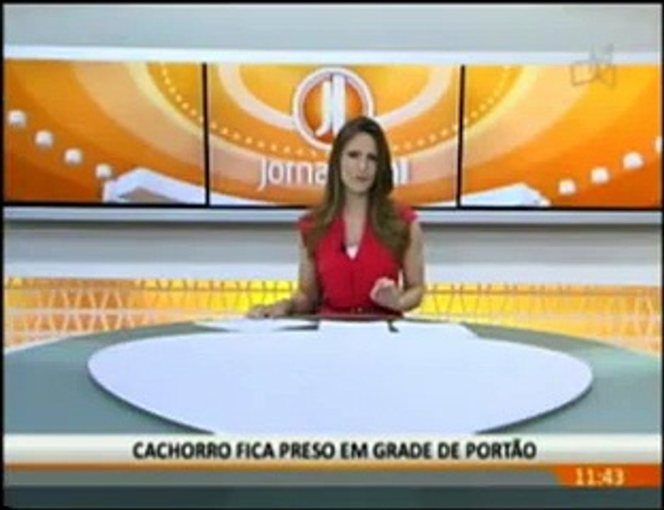 Bombeiros