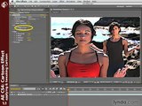 lynda.com: Flash CS4 Professional New Features & After Effects CS4 New Creative Techniques