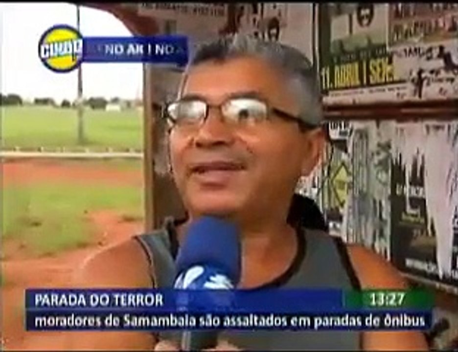 Samambaia
