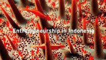 Indonesia country spotlights: innovation