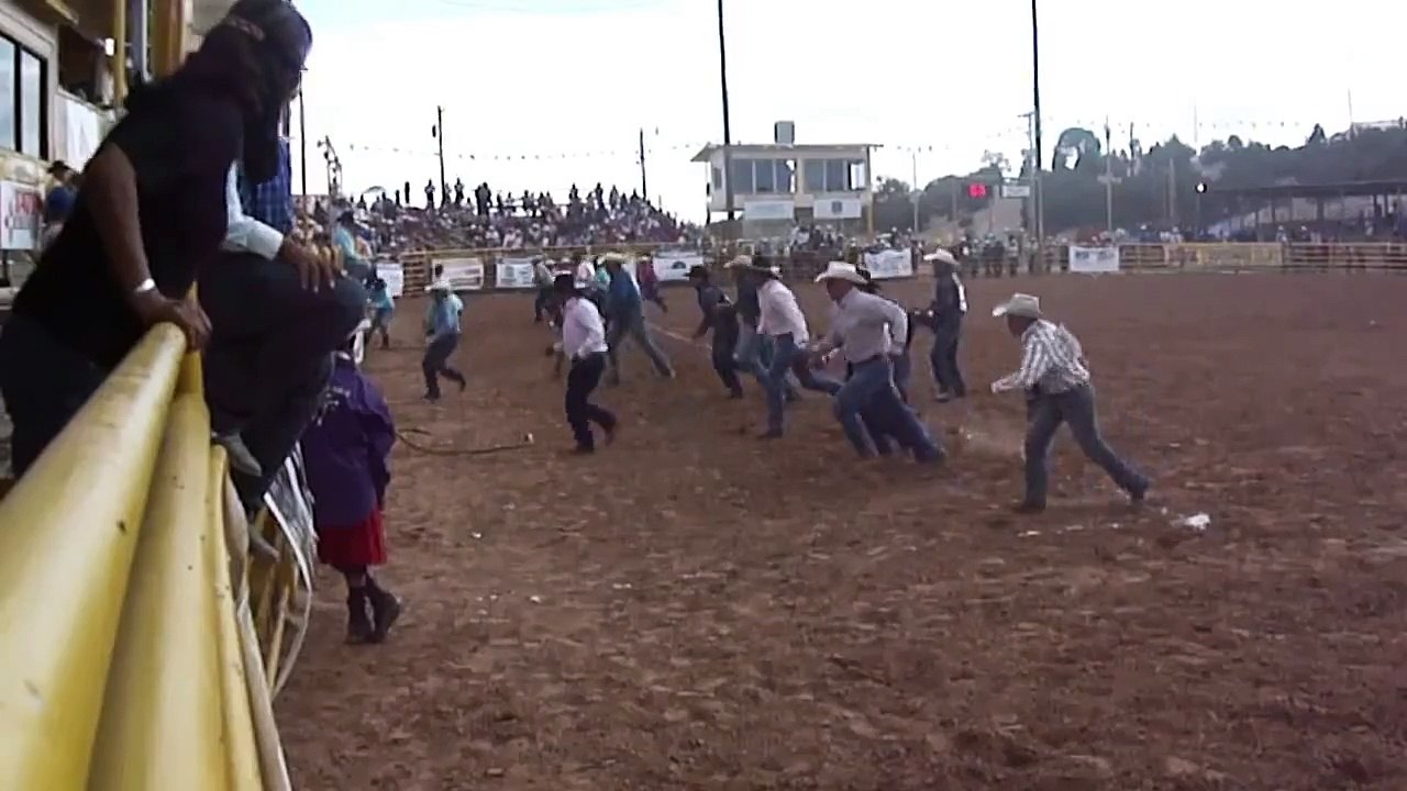 DOMA DE CABALLOS SALVAJES EN EEUU