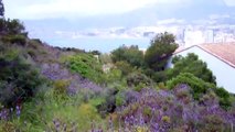 Calpe Spain (Calp Espana) - Penon de Ifach (Parc Natural del Penyal d'Ifac) Park Trail to Top