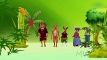 Animals Cartoons for Children Finger Family Children Nursery Rhymes | Animals Finger Family Rhymes