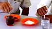 Experiment Chemistry: What Are Solutions? | science expo ideas, | 4th grade science projects,