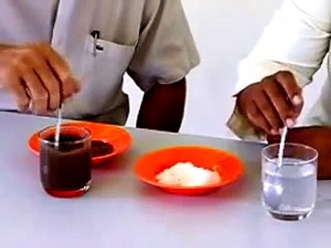 Experiment Chemistry: What Are Solutions? | science expo ideas, | 4th grade science projects,