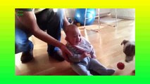Babies Laughing Hysterically at Dogs Compilation 2014 [NEW HD]