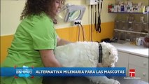 Clínica Veterinaria Alovera en Castilla la Mancha TV