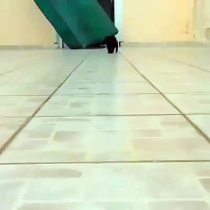 Attaaaack!