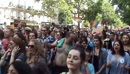 MARCHE DES FIERTES  PARIS   n2