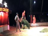 Zippos Circus 2011-1