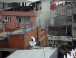 Güvercine Atmaca Saldırısı (Pigeons Hawk Attack)