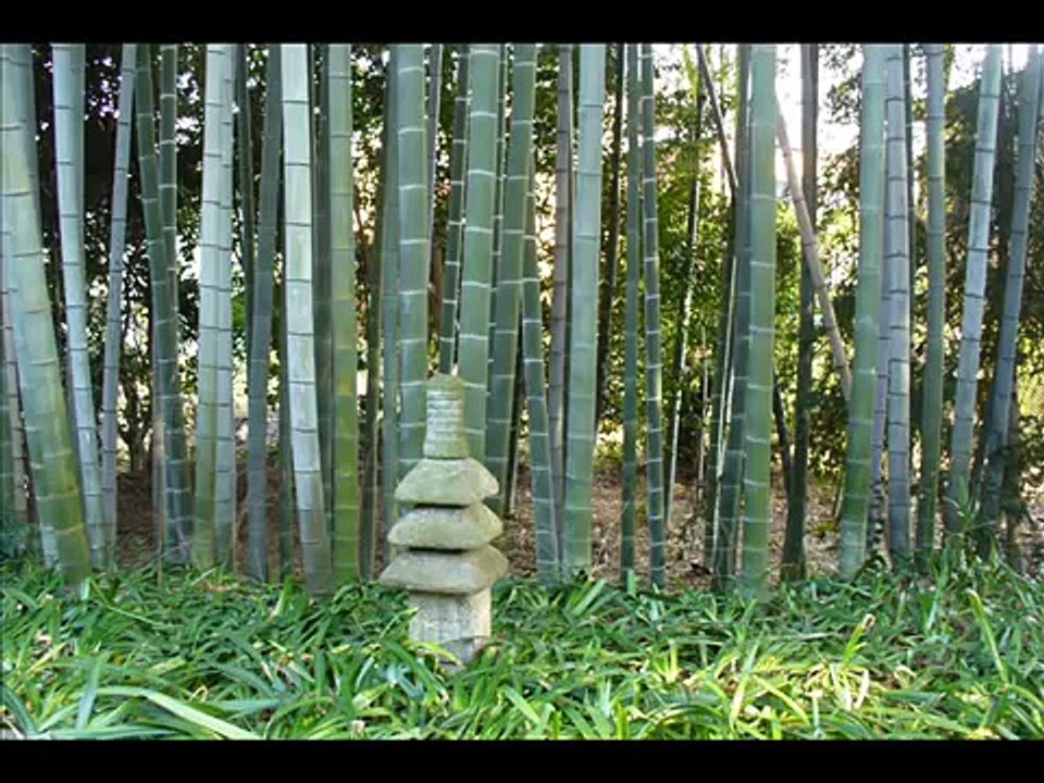 白洲次郎旧邸.wmv